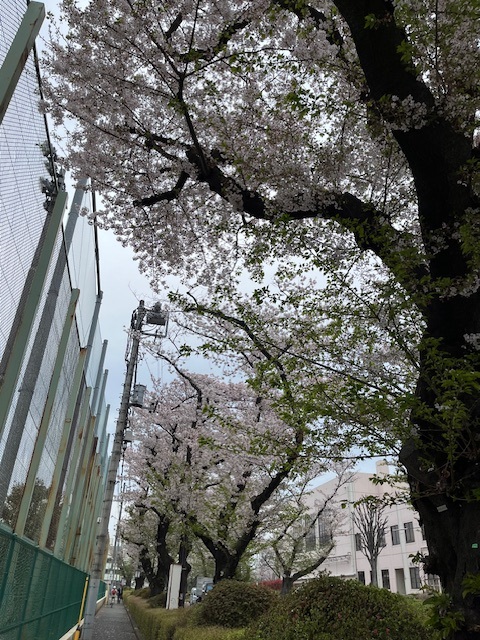 undefined - 2026-04-07T140045.282